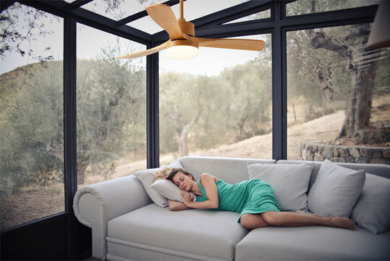 métal de 110V 220VDC 35W et lumière en bois de fan de plafond pour le salon