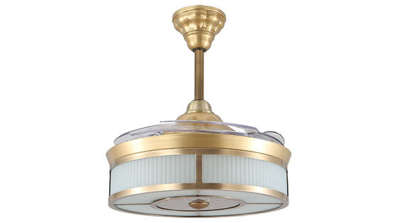 lames invisibles escamotables à télécommande de la lumière 220VAc de fan de plafond de 42 pouces 3500K