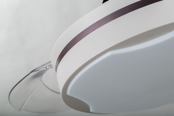 RoHS 42inch a caché la fan de plafond de lame/la fan plafond de salon