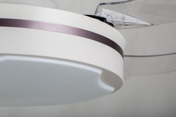 RoHS 42inch a caché la fan de plafond de lame/la fan plafond de salon