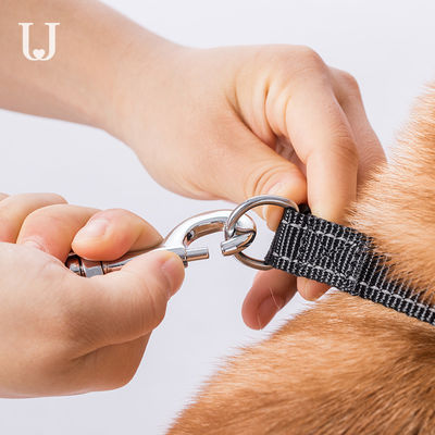 laisse escamotable automatique dorsale de chien de traction de laisse de 5M Long Extendable Dog