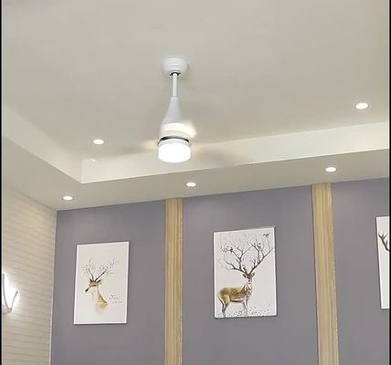Fan de plafond moderne de lame d'ABS du style 75w