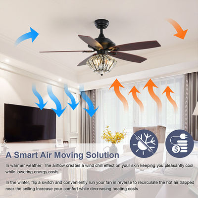 lame Matt Black Ceiling Fan With en métal de 120V 52Inch 5 à télécommande pour le salon d'intérieur