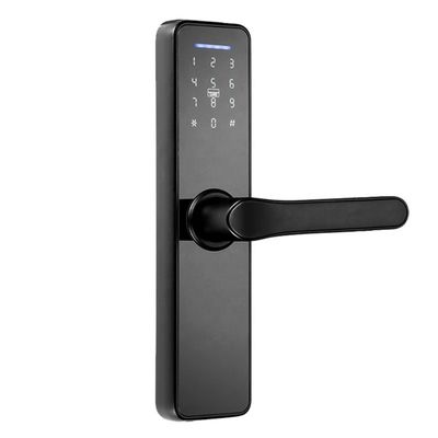 Double serrure dégrossie d'empreinte digitale d'appli pour le noir d'argent de porte de fer